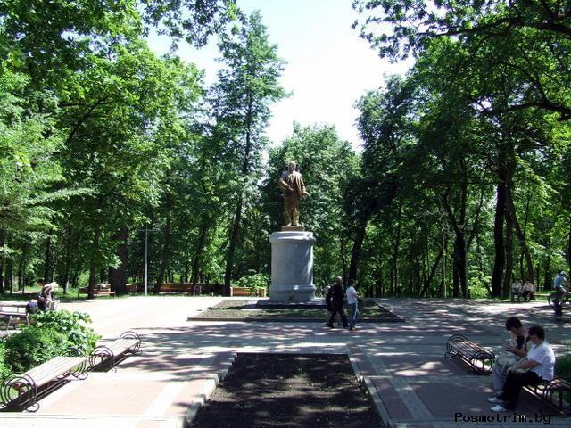 Наши старейшие дубы, обязательно дойдите до золотого Ленина.